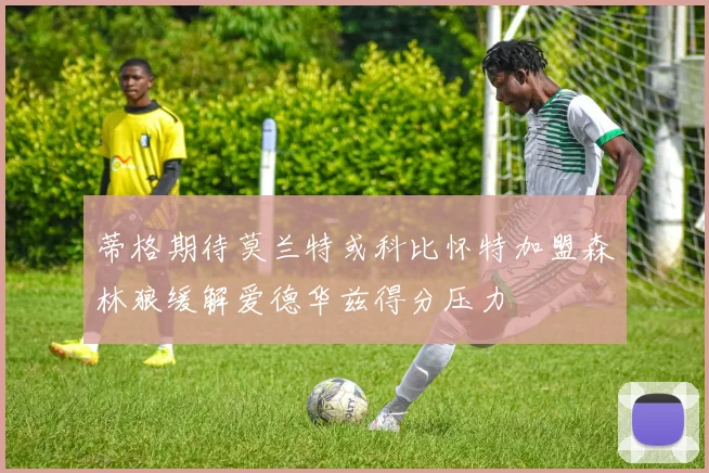 蒂格期待莫兰特或科比怀特加盟森林狼缓解爱德华兹得分压力