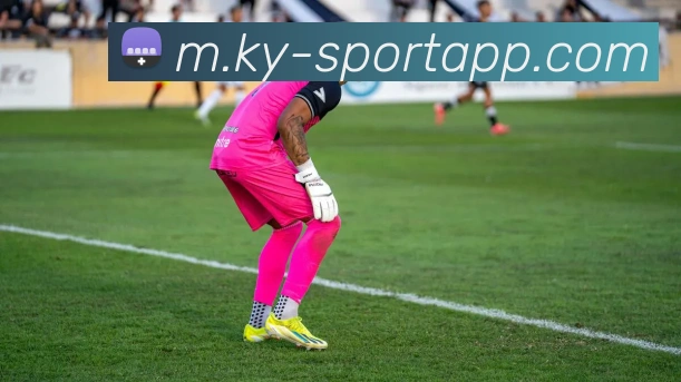 开云足球平台生态图