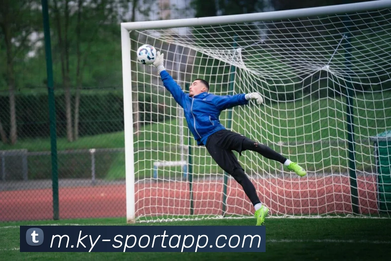 开云足球全站App