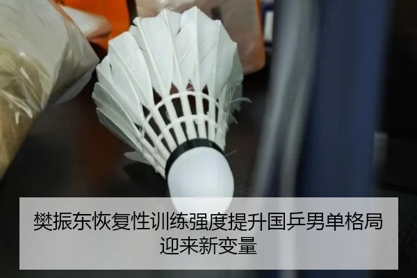 樊振东恢复性训练强度提升国乒男单格局迎来新变量 | kaiyun